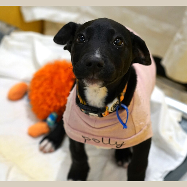 Photo of Bonnie