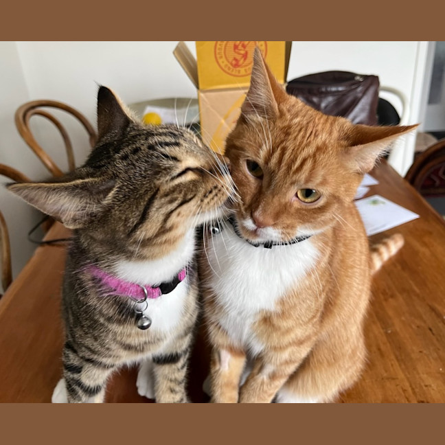 Photo of Vader & Weasley 