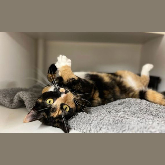 Photo of Enid