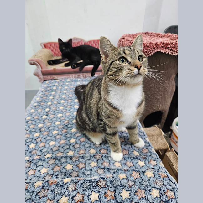 Photo of Hazel