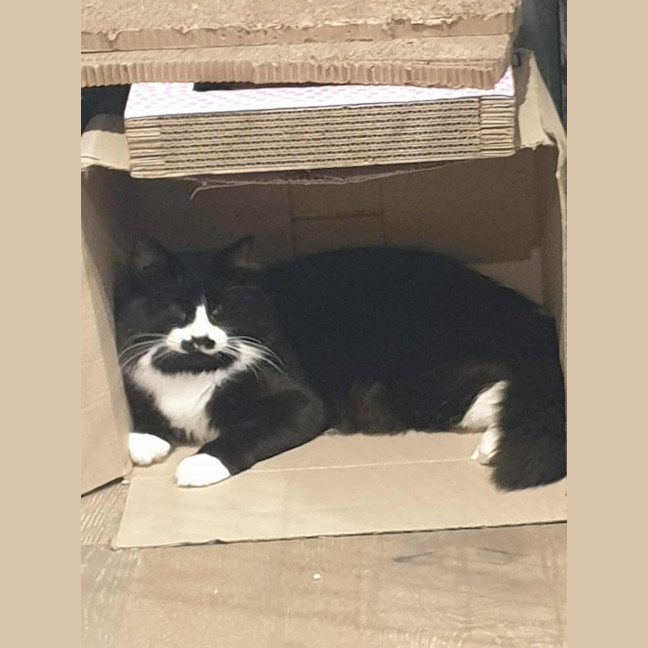 Photo of Bueno