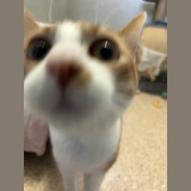 Photo of Bingo
