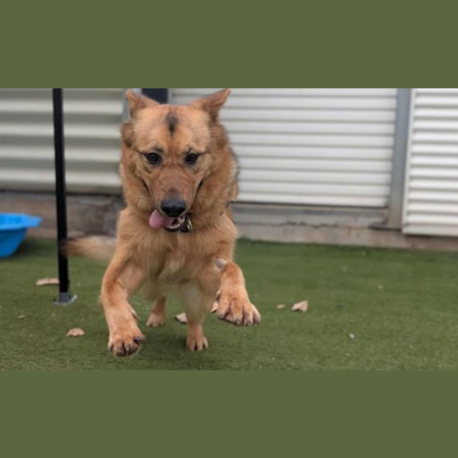 Photo of Roxy 