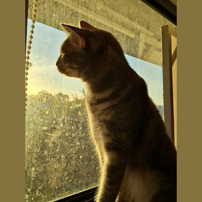Photo of Birdie