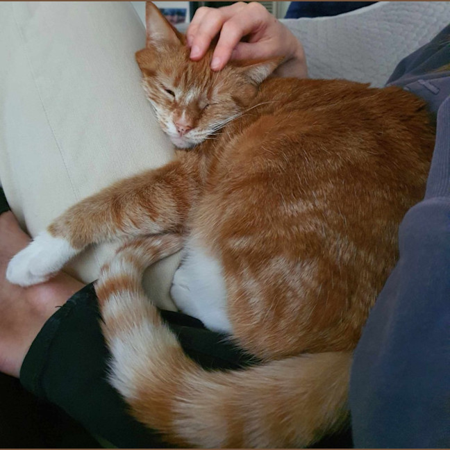 Photo of Finn & Percy