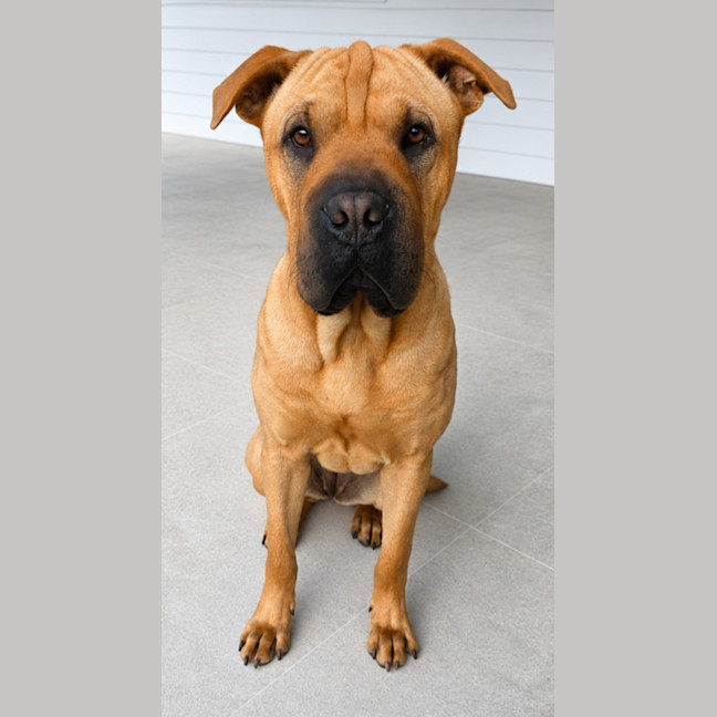 Photo of Wilma