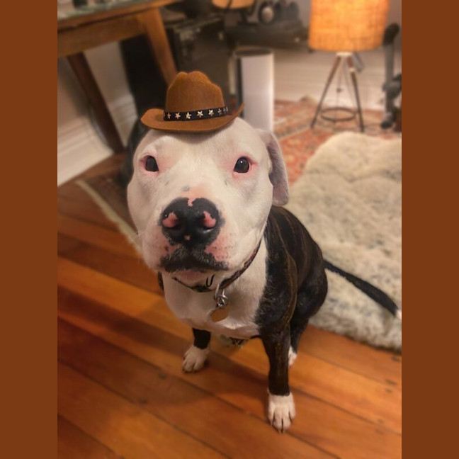 Photo of Hugo