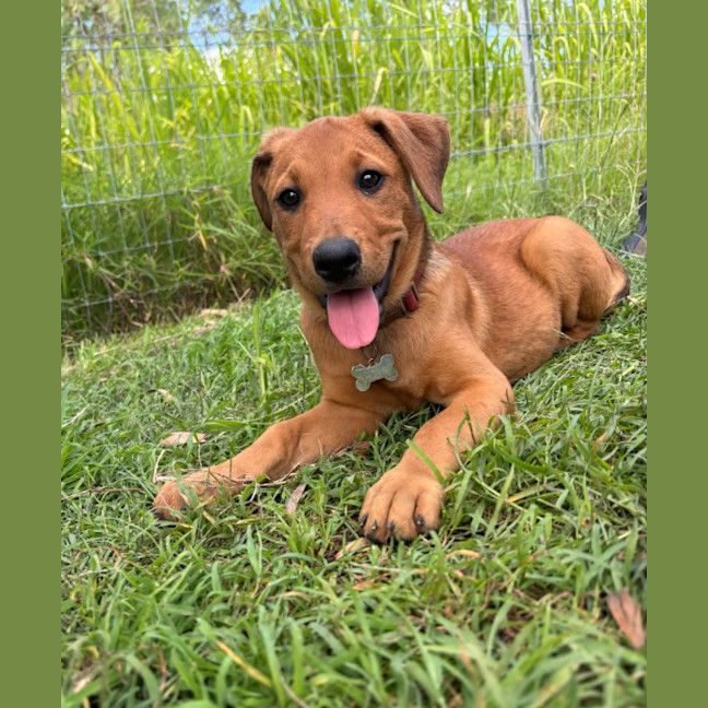 Photo of Winny (P21)