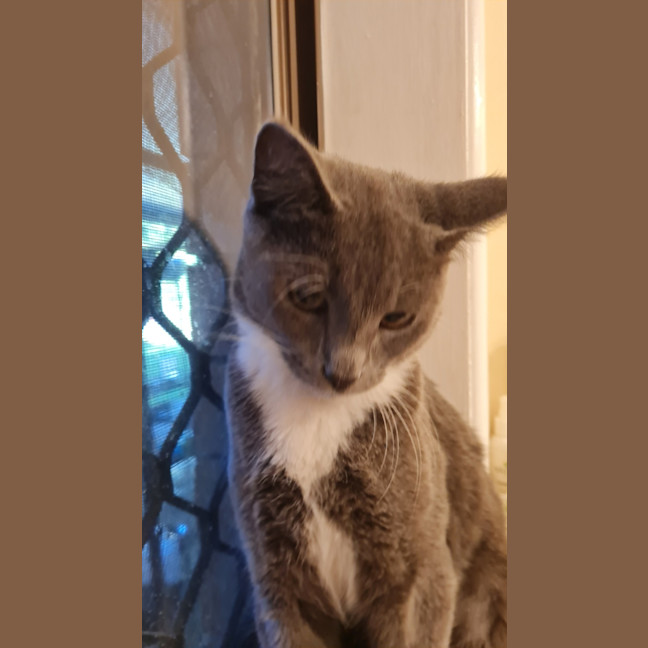 Photo of Klara