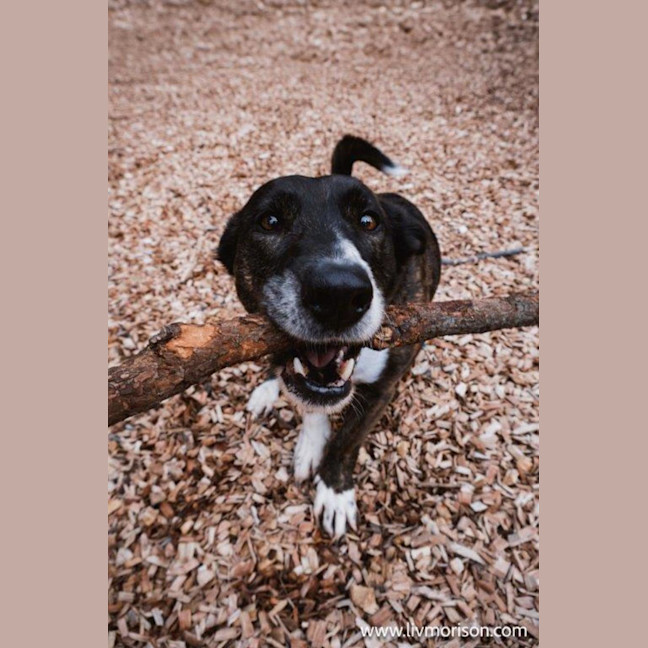 Photo of Oscar And Annika Newhaven