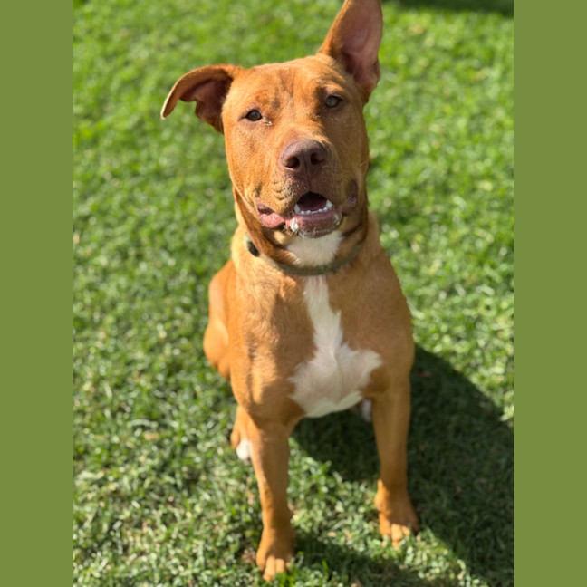 Photo of Jake 