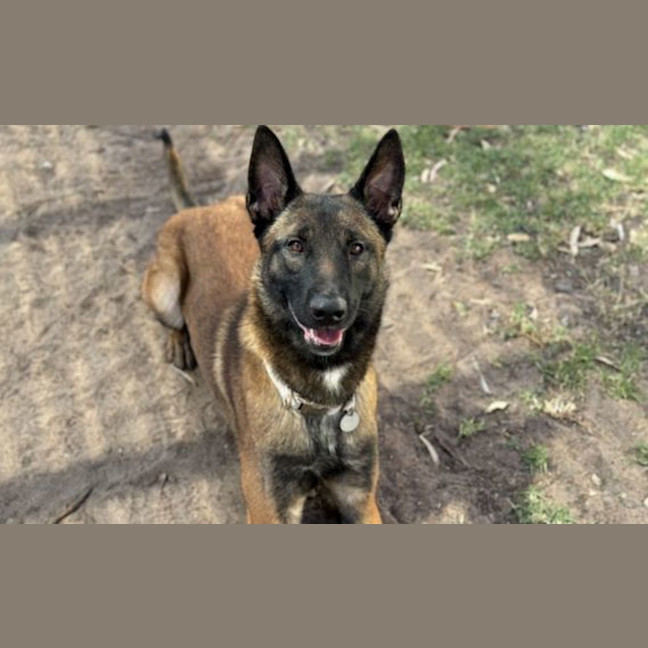 Photo of Remington