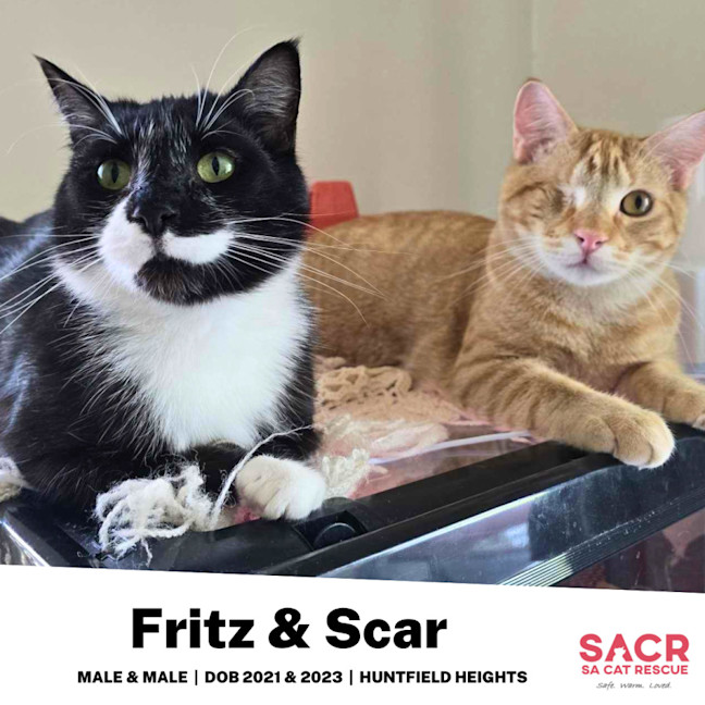 Photo of Fritz & Scar