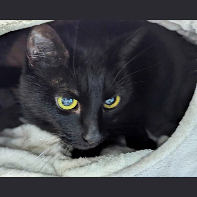 Photo of Little Darling