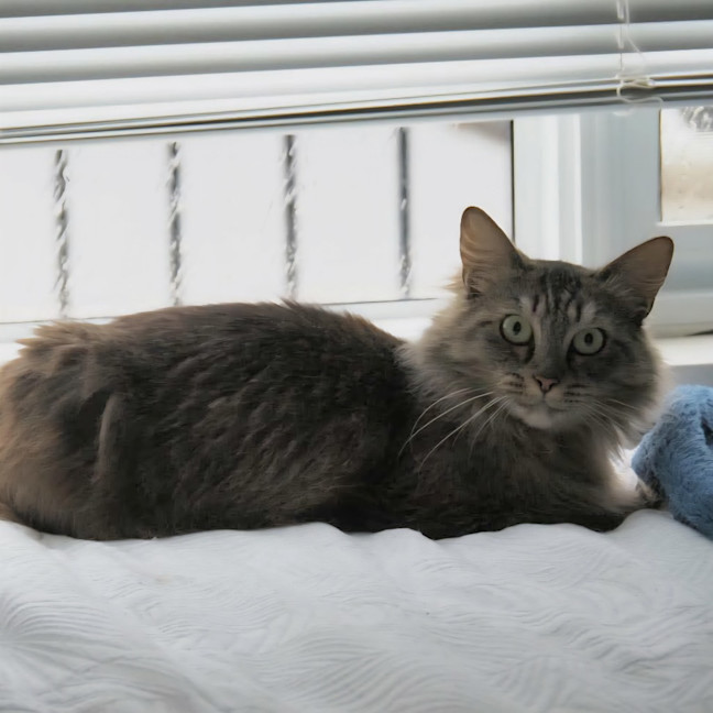 Photo of Lulu