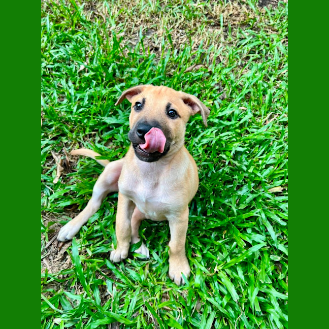 Photo of Happy