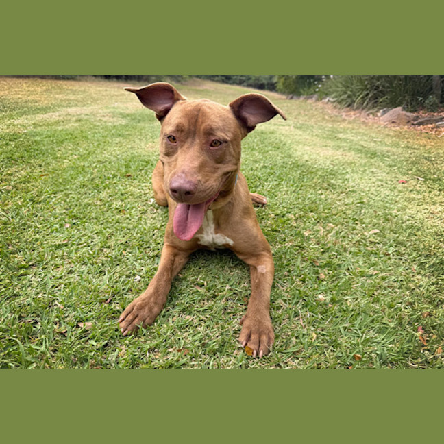 Photo of Missy