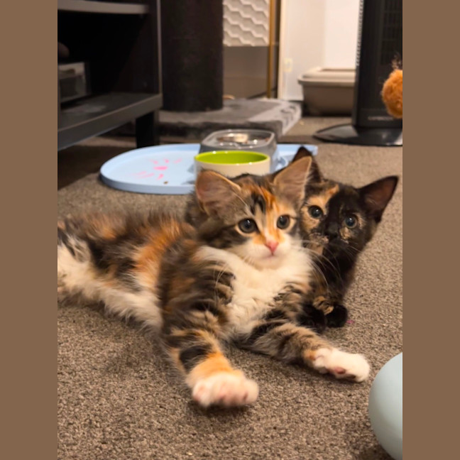 Photo of Astrid & Yogi