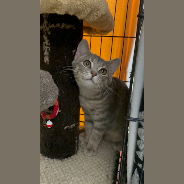 Photo of Lala