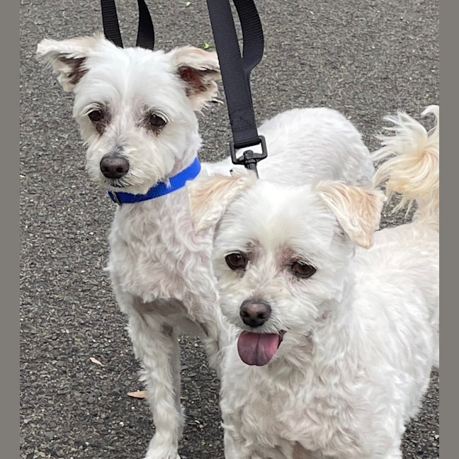 Photo of Snowy And Stormy