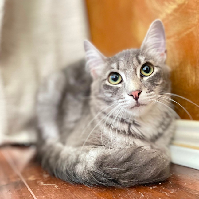 Photo of Edith 