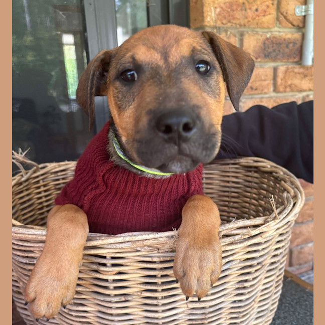 Photo of Pentonville