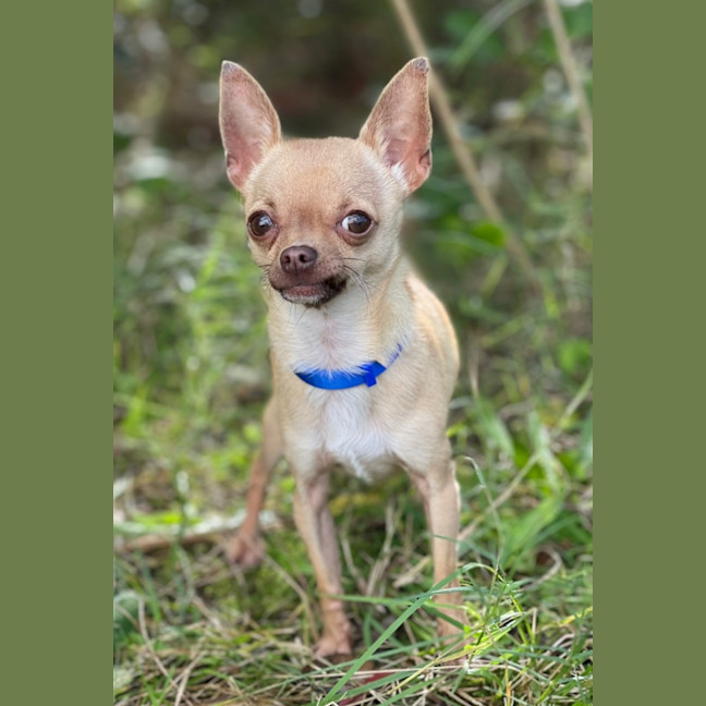 Photo of Paco