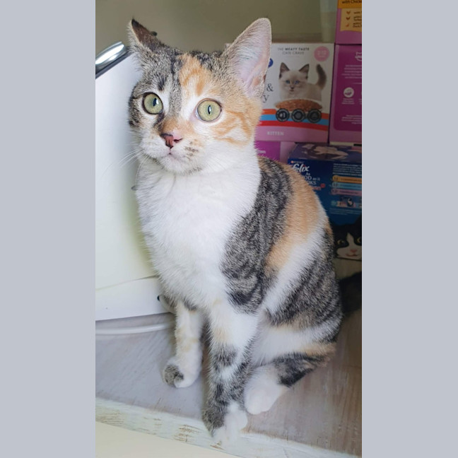 Photo of Nora