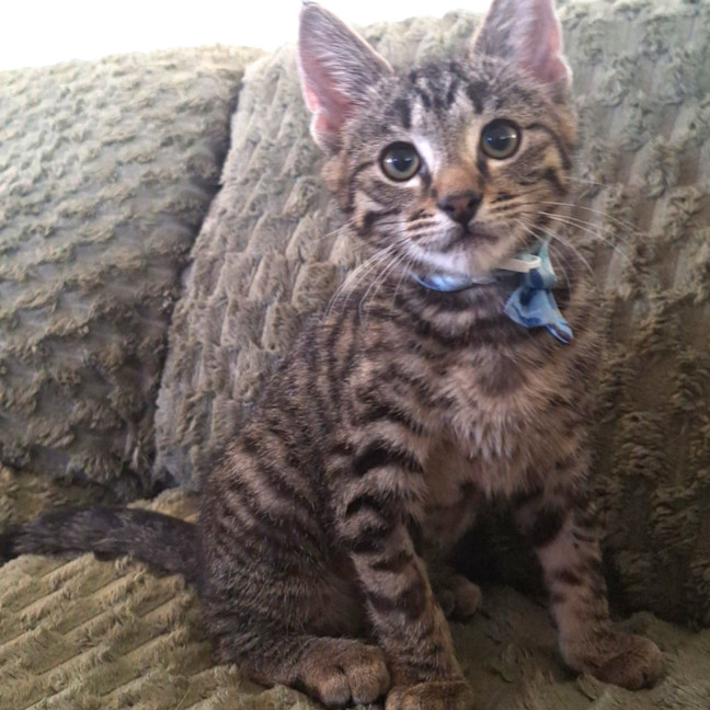 Photo of Hudson