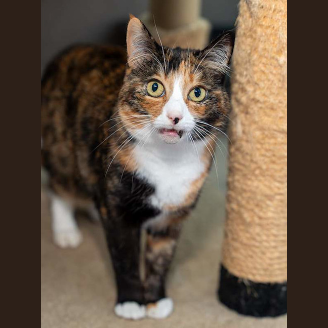 Photo of Kyla