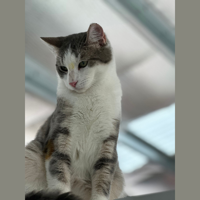 Photo of Timmy