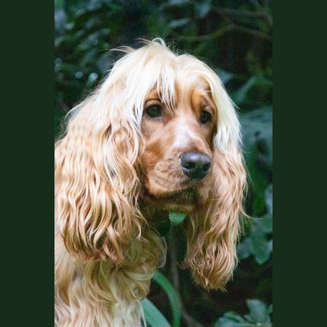 Photo of Cookie Dumont