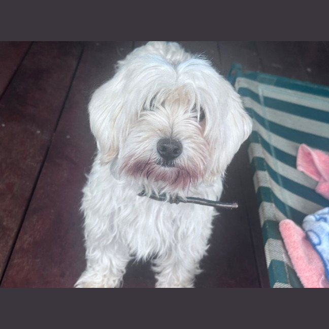 Photo of Holly
