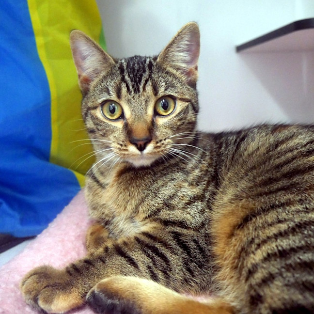 Photo of Bonnie Stk013769