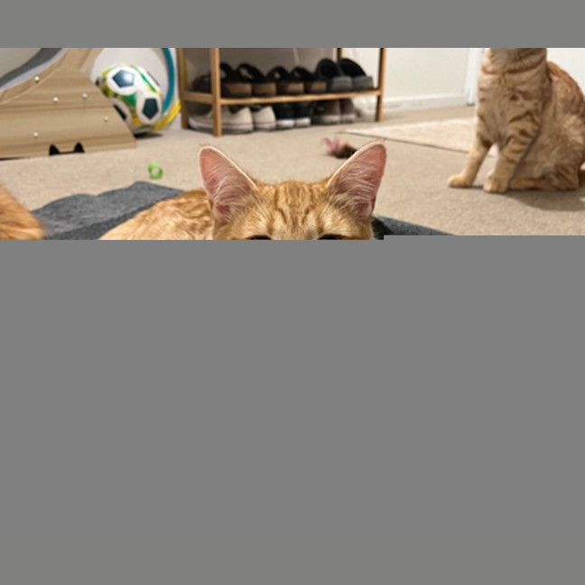 Photo of Gary