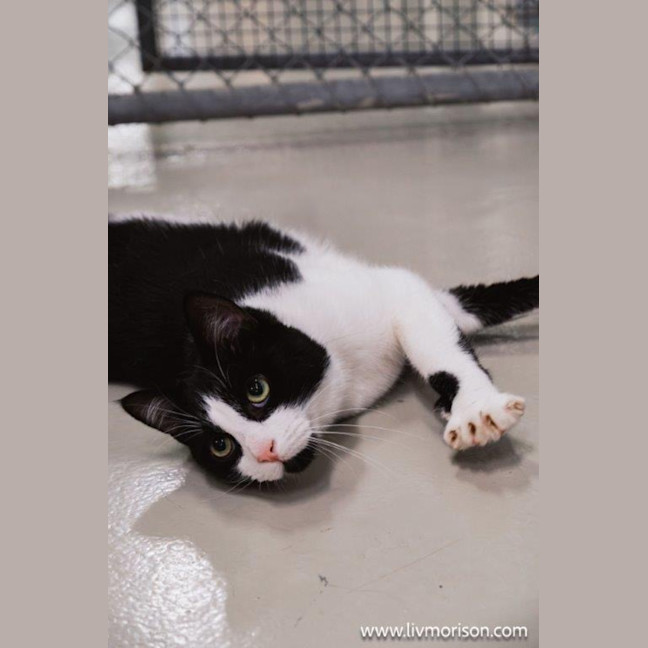 Photo of Jasper Picton