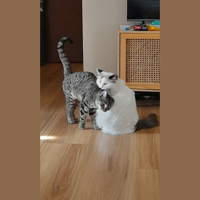 Photo of Jennifer Sparkles