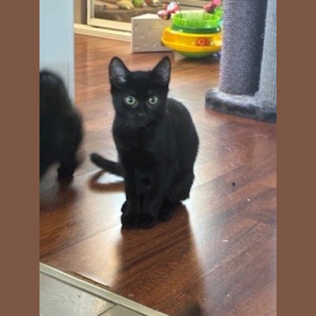 Photo of Hera