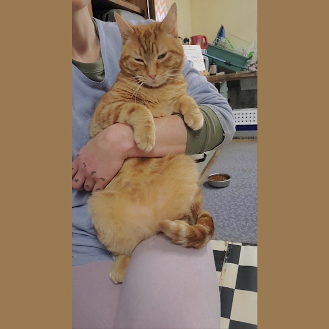 Photo of Gary & Chip   Your Best Friends 