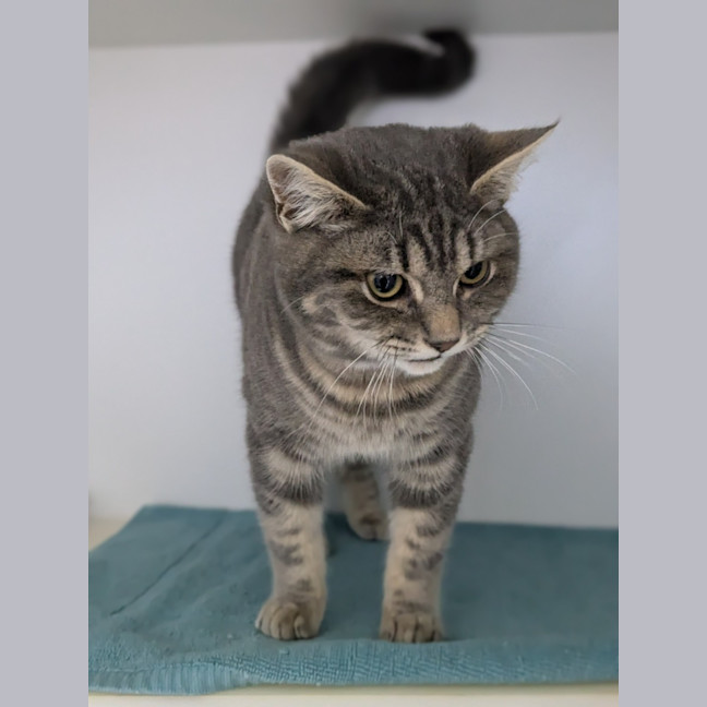 Photo of 👾 Chops 5440 👾