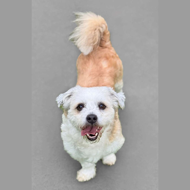 Photo of Bilo