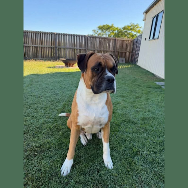 Photo of Ruben