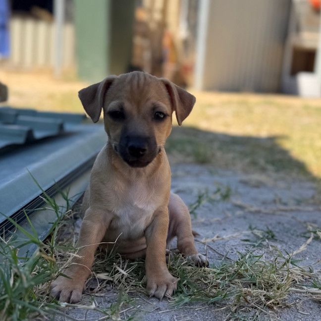Photo of Milly