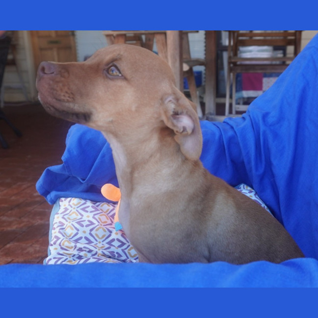 Photo of Ares
