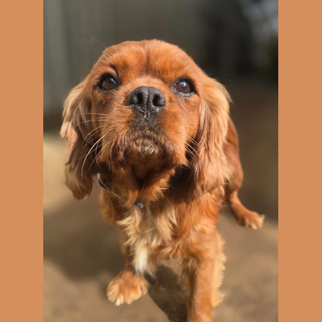 Photo of Jilly