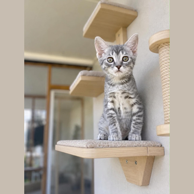 Photo of Ennie
