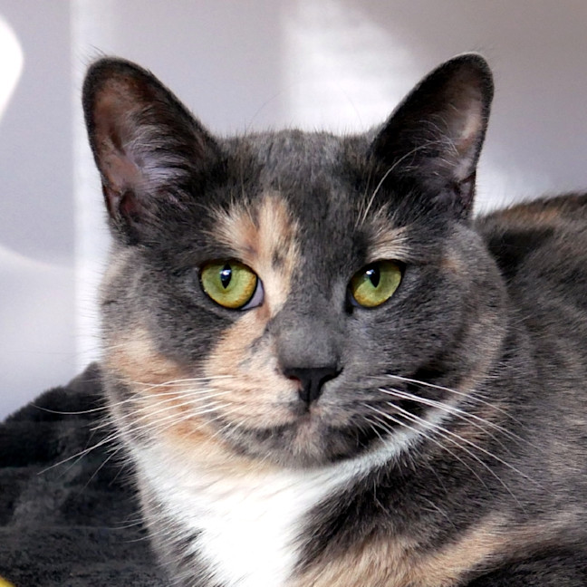 Photo of Stormy Rsuk013730