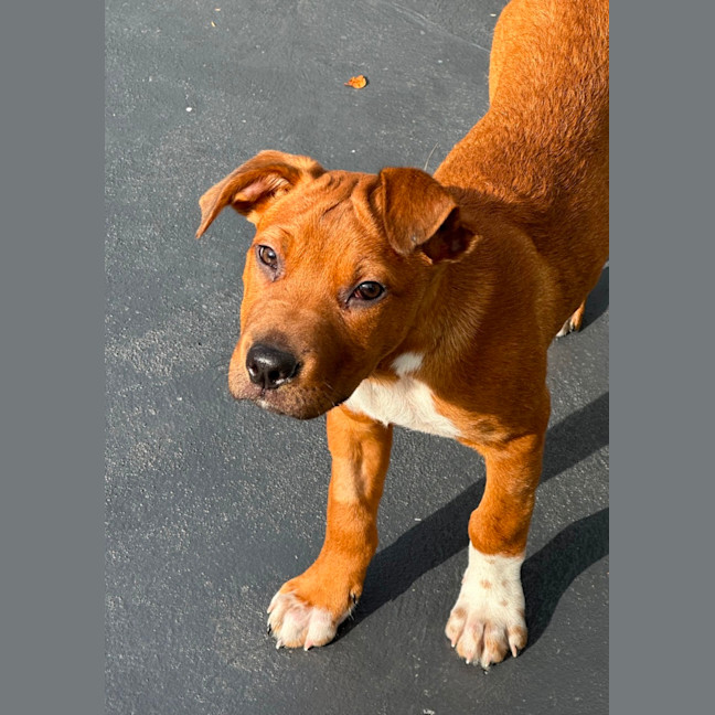 Photo of Hurley