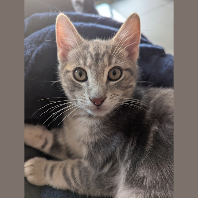 Photo of Hugo Scotty