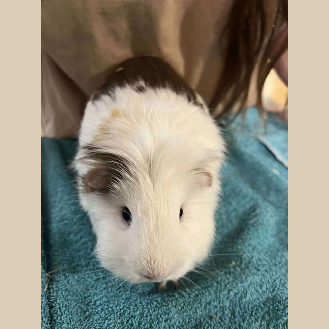 Photo of Gina & Mina